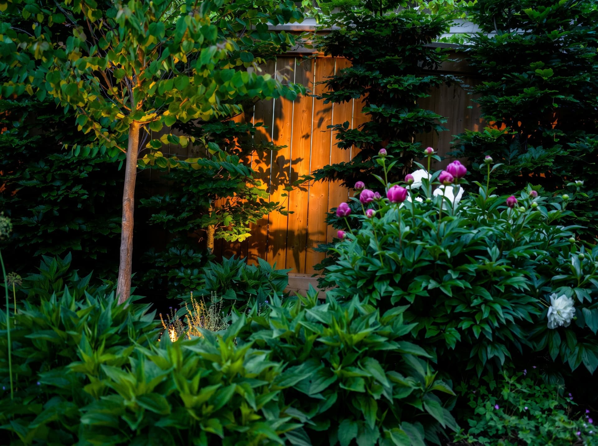 Westgate Walk Project - Garden Detail